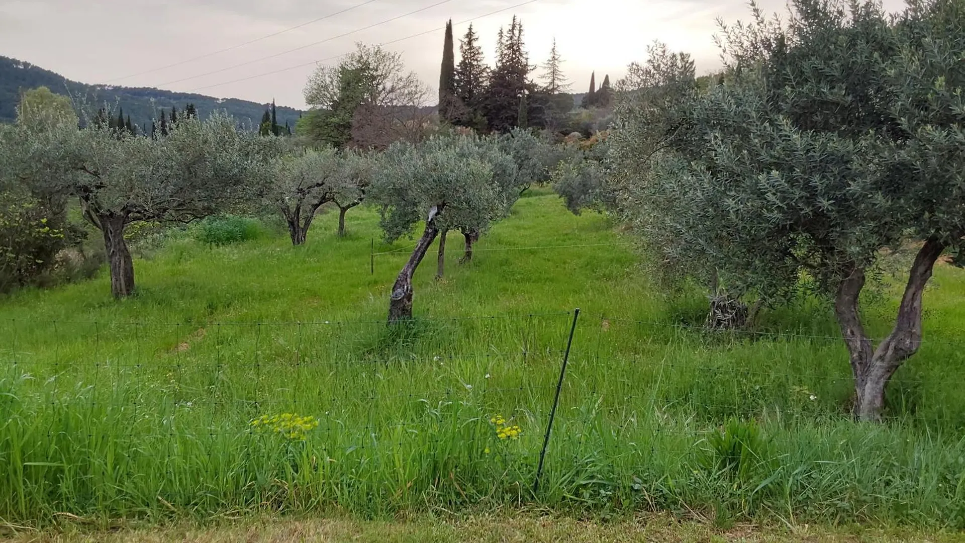 Holiday home Maison Provencale Salernes